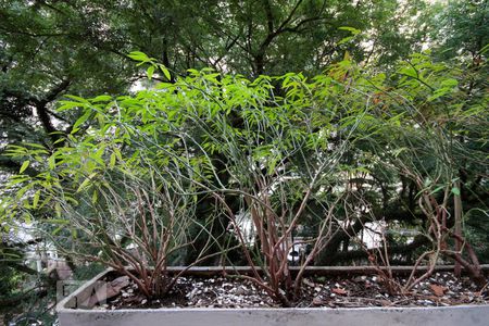 Apartamento à venda com 120m², 2 quartos e 1 vagaVista do Quarto 1