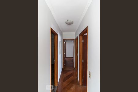 Corredor de apartamento para alugar com 3 quartos, 112m² em Vila Pompéia, São Paulo