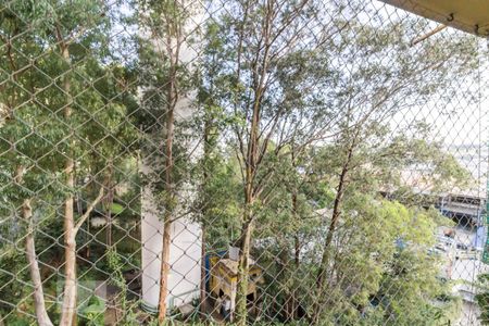Vista da janela de apartamento para alugar com 2 quartos, 65m² em Quinta da Paineira, São Paulo