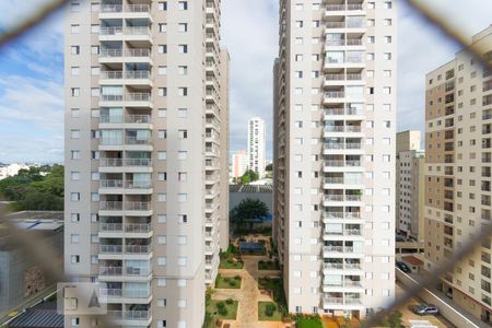 Apartamento para alugar com 65m², 3 quartos e 1 vagaVista da Janela da Suíte