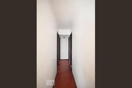 Corredor de apartamento para alugar com 3 quartos, 67m² em Jardim Esmeralda, São Paulo