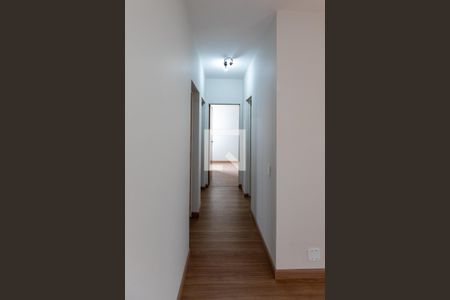 Corredor dos Quartos de apartamento à venda com 3 quartos, 82m² em Taquaral, Campinas