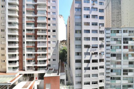 Vista de apartamento para alugar com 1 quarto, 42m² em Centro, São Paulo
