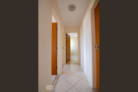Corredor de apartamento para alugar com 3 quartos, 71m² em Jardim Leonor, Campinas