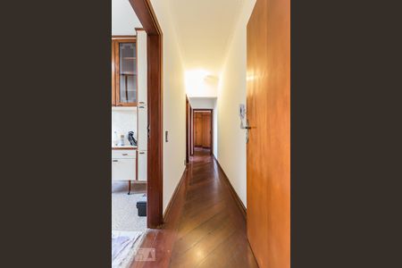 Corredor de apartamento para alugar com 2 quartos, 80m² em Jardim do Trevo, Campinas