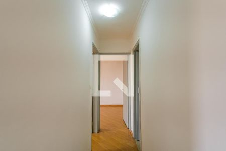 Corredor de apartamento para alugar com 3 quartos, 84m² em Parque São Jorge, São Paulo