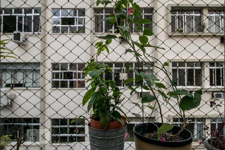 Vista sala de estar de apartamento à venda com 2 quartos, 72m² em Humaitá, Rio de Janeiro