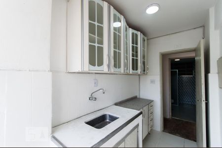 Cozinha de apartamento para alugar com 1 quarto, 48m² em Santa Efigênia, São Paulo