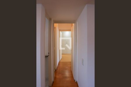 Corredor de apartamento para alugar com 2 quartos, 122m² em Perdizes, São Paulo