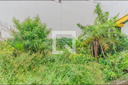 Casa à venda com 250m², 3 quartos e 2 vagasQuintal