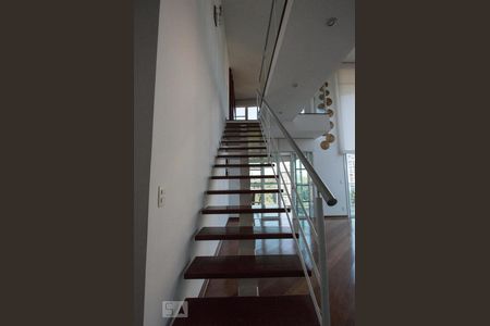 Apartamento para alugar com 222m², 4 quartos e 4 vagas Apartamento para alugar com 222m², 4 quartos e 4 vagasescada para sala superior