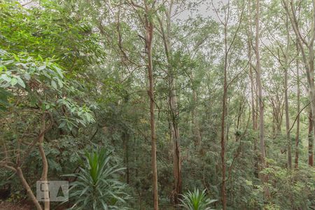 Apartamento à venda com 225m², 4 quartos e 4 vagasVista da varanda