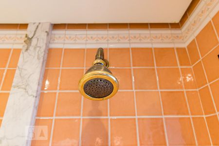 Apartamento à venda com 450m², 5 quartos e 4 vagasDucha