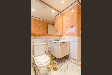 Apartamento à venda com 450m², 5 quartos e 4 vagasBanheiro da Suite 2