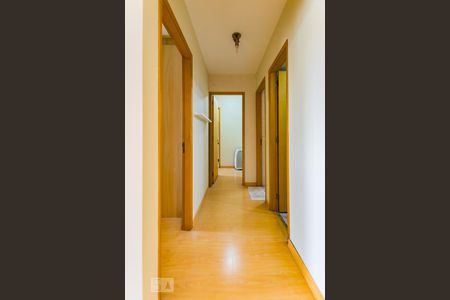 Corredor de apartamento à venda com 2 quartos, 85m² em Jardim Planalto, Campinas
