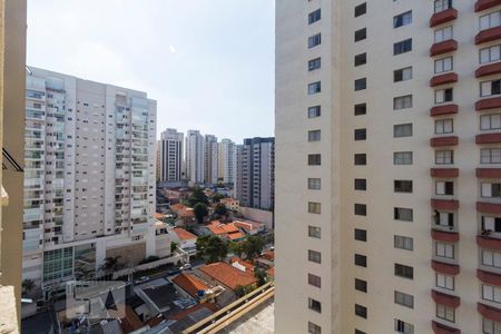 VISTA de apartamento para alugar com 2 quartos, 54m² em Chácara Inglesa, São Paulo
