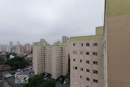 Vista de apartamento para alugar com 3 quartos, 66m² em Vila das Merces, São Paulo
