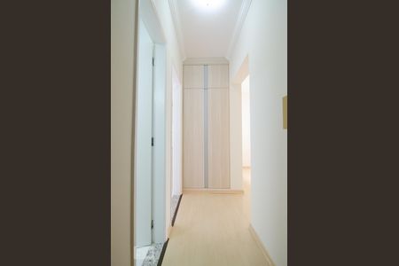 Corredor de kitnet/studio para alugar com 1 quarto, 47m² em Centro, Campinas