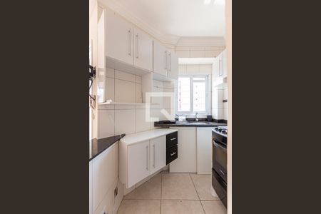 Cozinha de apartamento para alugar com 2 quartos, 63m² em Vila Homero Thon, Santo André