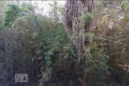 Vista Sacada de apartamento para alugar com 3 quartos, 80m² em Santana, São Paulo