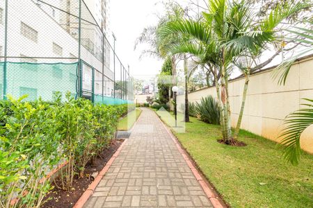Apartamento para alugar com 54m², 2 quartos e 1 vaga Apartamento para alugar com 54m², 2 quartos e 1 vagaPista de Cooper