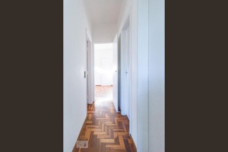 Corredor de apartamento para alugar com 3 quartos, 108m² em Cidade Nova, Belo Horizonte