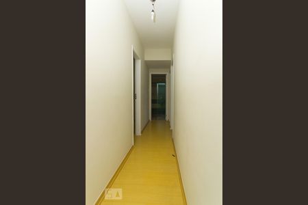 Corredor de apartamento para alugar com 2 quartos, 75m² em Vila Dom Pedro I, São Paulo