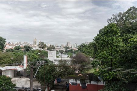 Vista Piscina de apartamento para alugar com 1 quarto, 41m² em Jardim São Paulo(zona Norte), São Paulo