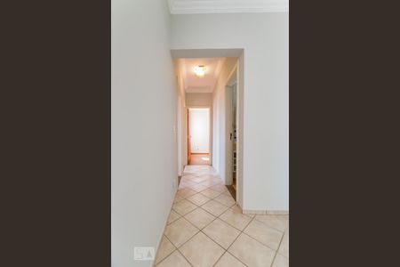 Corredor de apartamento para alugar com 3 quartos, 87m² em Jardim Leonor, Campinas