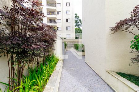 Apartamento à venda com 98m², 3 quartos e 3 vagasÁrea Comum