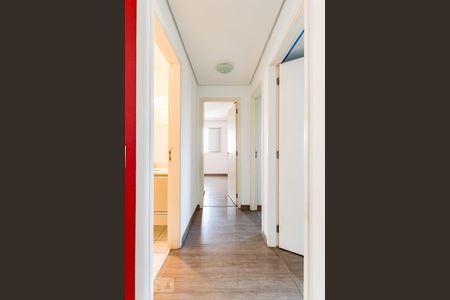 Corredor de apartamento para alugar com 3 quartos, 75m² em Loteamento Chácara Prado, Campinas