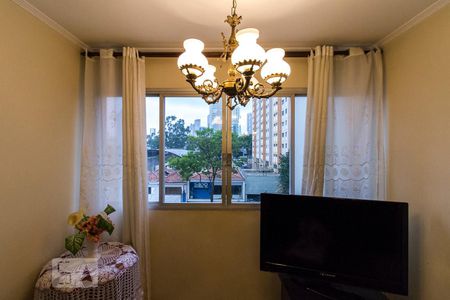 Janela da Sala  de apartamento para alugar com 3 quartos, 80m² em Vila Gomes Cardim, São Paulo