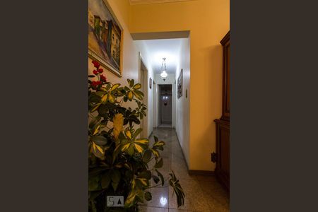 Corredor de Acesso aos Quartos e Banheiro  de apartamento para alugar com 3 quartos, 80m² em Vila Gomes Cardim, São Paulo