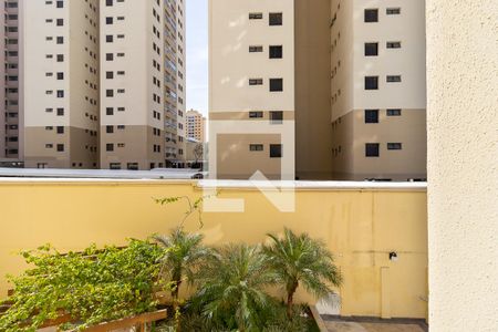 Apartamento para alugar com 80m², 3 quartos e 2 vagas Apartamento para alugar com 80m², 3 quartos e 2 vagasVista do quarto 3