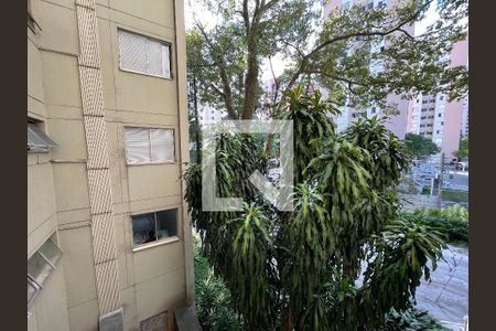 Vista do Quarto 1 de apartamento para alugar com 2 quartos, 60m² em Jardim das Vertentes, São Paulo