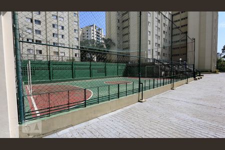 Quadra de apartamento para alugar com 2 quartos, 68m² em Butantã, São Paulo