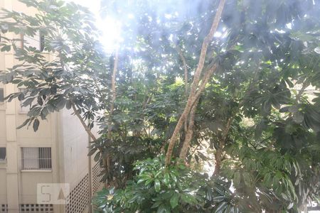 Vista de apartamento para alugar com 2 quartos, 68m² em Butantã, São Paulo