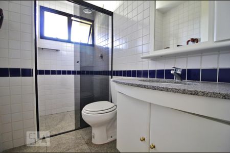 Banheiro de apartamento para alugar com 3 quartos, 174m² em Paraíso do Morumbi, São Paulo