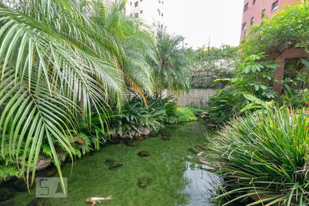 Apartamento para alugar com 58m², 1 quarto e 2 vagas Apartamento para alugar com 58m², 1 quarto e 2 vagasJardim