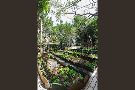 Apartamento à venda com 168m², 3 quartos e 3 vagasHorta