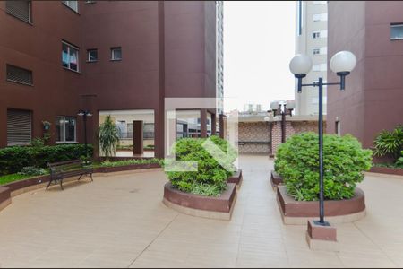 Apartamento para alugar com 78m², 3 quartos e 2 vagas Apartamento para alugar com 78m², 3 quartos e 2 vagasÁrea externa