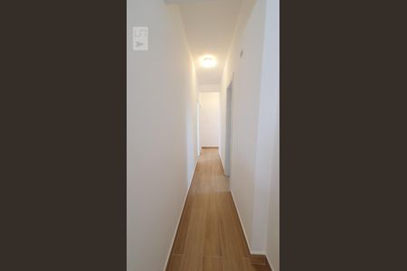 Corredor de apartamento para alugar com 3 quartos, 85m² em Campos Elíseos, São Paulo