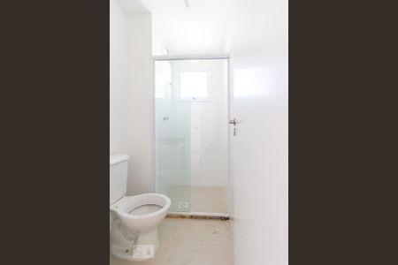 Box do Banheiro Social  de apartamento para alugar com 2 quartos, 50m² em Chácara Califórnia, São Paulo