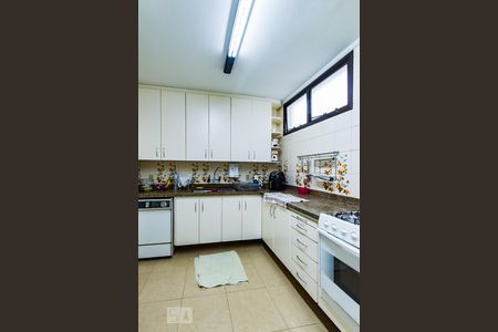 Apartamento à venda com 296m², 5 quartos e 2 vagasCozinha