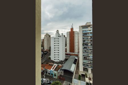 Apartamento à venda com 296m², 5 quartos e 2 vagasVista