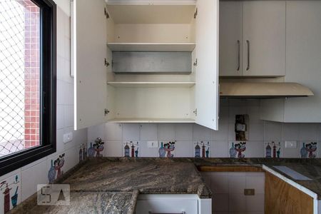 Apartamento à venda com 420m², 6 quartos e 4 vagasArmários da Cozinha 