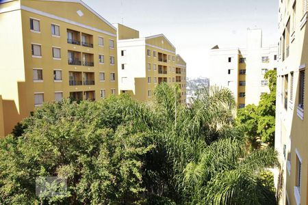 Apartamento para alugar com 65m², 3 quartos e 1 vagaVista do quarto 3