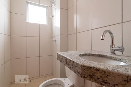 Banheiro de apartamento à venda com 2 quartos, 50m² em Castelo, Belo Horizonte
