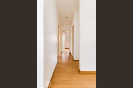 Corredor de apartamento para alugar com 3 quartos, 60m² em Parque Itália, Campinas