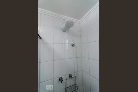 Banheiro de apartamento para alugar com 2 quartos, 50m² em Vila Bela, São Paulo